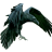 Thejackcrack