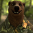 cozy_bear