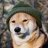 Mr. Doge