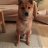 tina_cooper