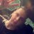 OnAirGaming