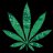 weedy420