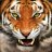 TiGar