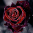 BlackRedRose