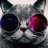 Blackcatz1911