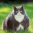 Kitty_Mia