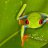 Herectomia