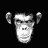 SkullMonkey
