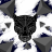 Perixx_one