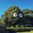 TreeGuy