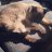 KatzenLady88