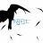 Blackbird2k