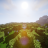 Crynn