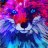 skyfox_tv