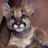 Cougar
