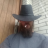 Joe Wolf