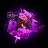 vetixDZN