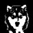 LpBlackhusky