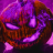 Gtakilla2002