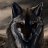 The_WolfCerberus