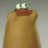 SaurerKeks