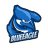 BlueEagle