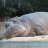 Hippo.exe