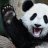 PandaCodeYT