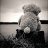 BlauerPanda_989