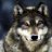 BlachgamingWolf