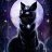 NightConfusedFox