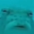 Lu1405