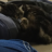 Gismo1108