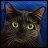 Mooncat