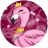 Zwergflamingo