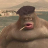 NicoCRUW