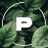 Plantocin